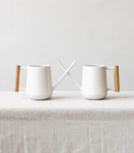 Pilea Peperomioides – Image 5