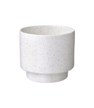 Drakfrukt – Image 2