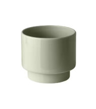 Drakfrukt – Image 3